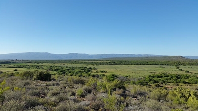 Irrigation farm to be sold on auction